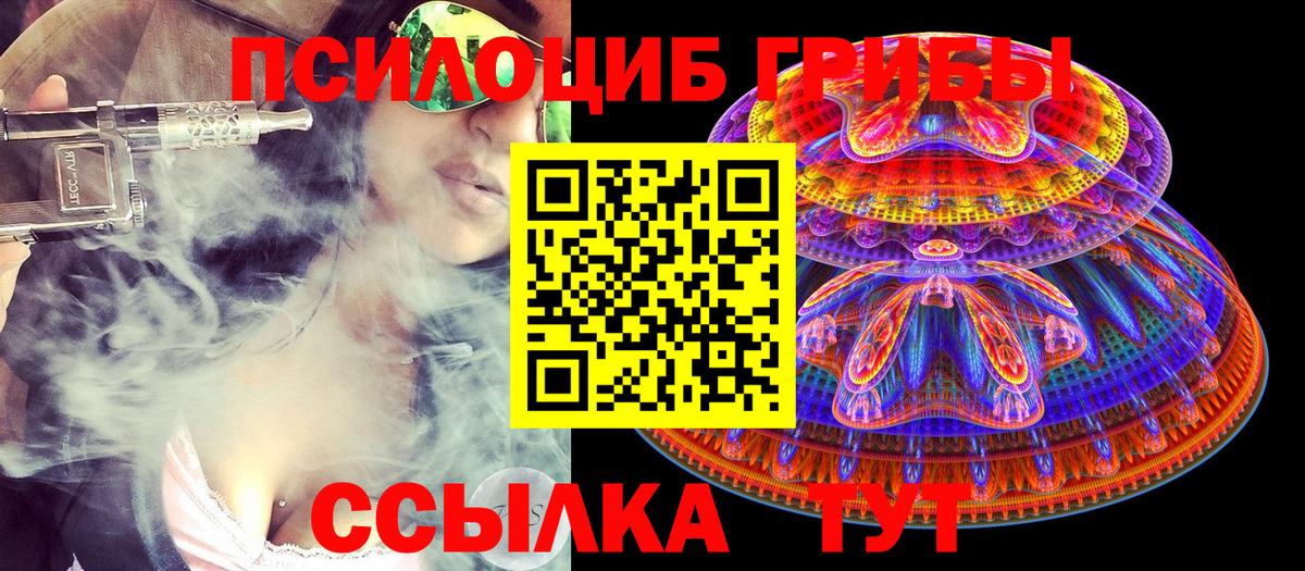 Галлюциногенные грибы Cubensis  магазин  наркотиков  Ноябрьск  Вход с VPN 